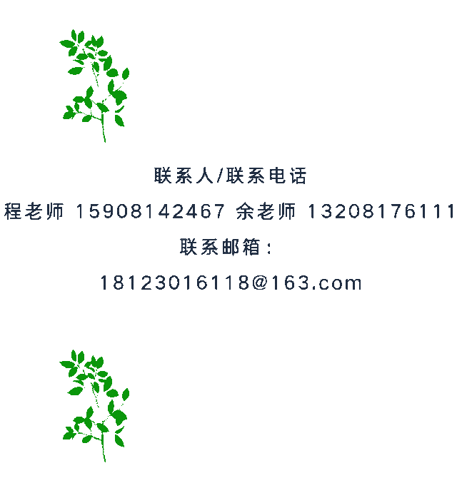 图片[7]-2025成都“城市公园焕活更新”方案征集-掌上竞赛