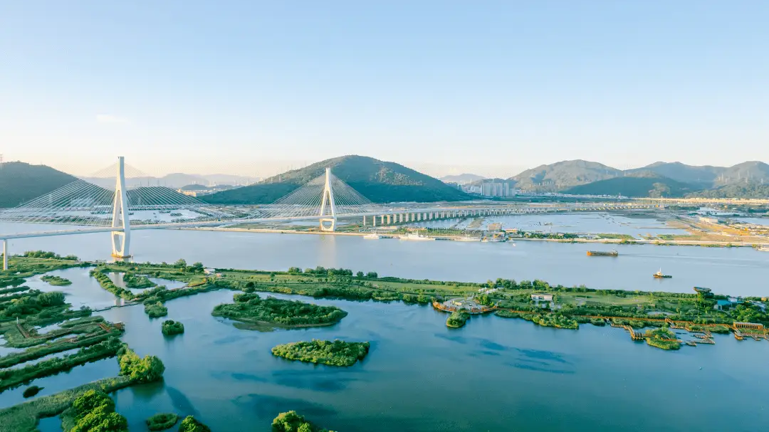 图片[13]-2025“魅力琴澳”城市IP插画大赛
