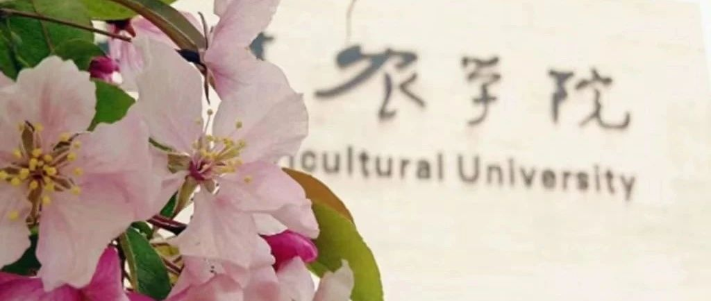 天津农学院建校50周年庆祝活动标识、宣传口号、文创产品设计、校史资料征集公告-掌上竞赛