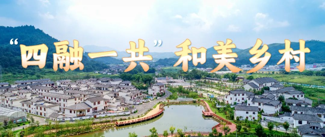 2025年江西省“四融一共”和美乡村(龙南)创新创意大赛