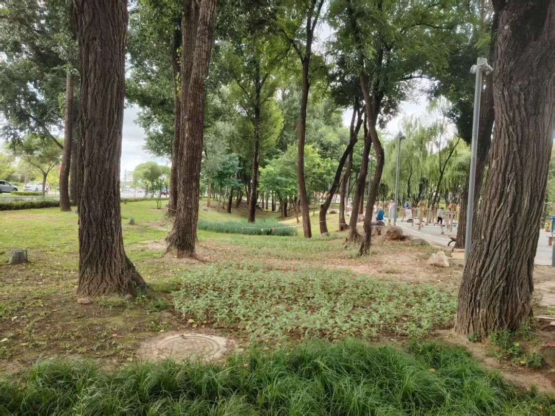图片[6]-2025北京延庆“花园城市”设计竞赛
