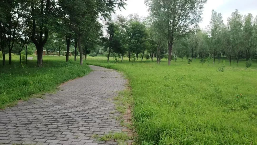 图片[8]-2025北京延庆“花园城市”设计竞赛