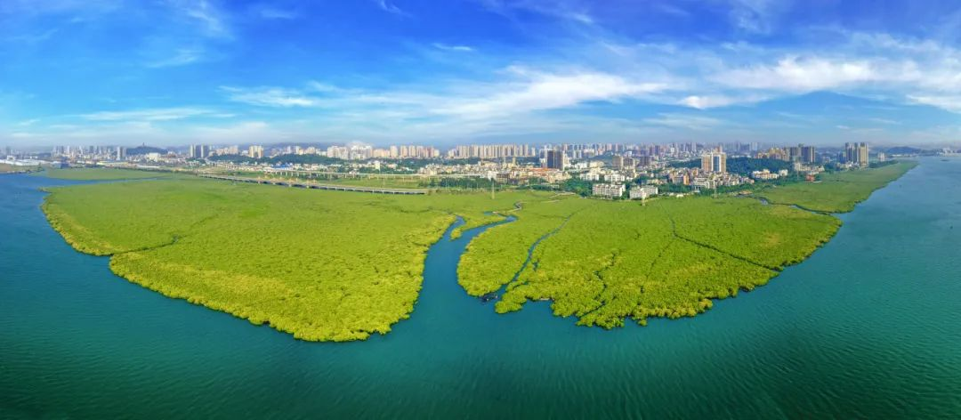 图片[2]-2025年“聚焦绿水青山 定格森情绿韵”广西森林草原湿地摄影大赛-掌上竞赛
