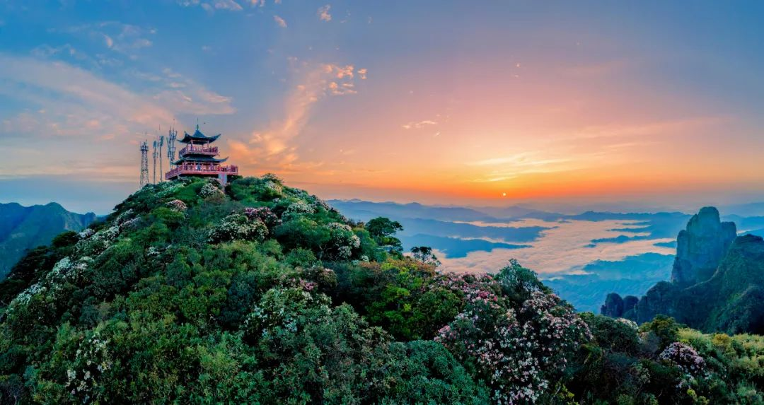 图片[5]-2025年“聚焦绿水青山 定格森情绿韵”广西森林草原湿地摄影大赛-掌上竞赛