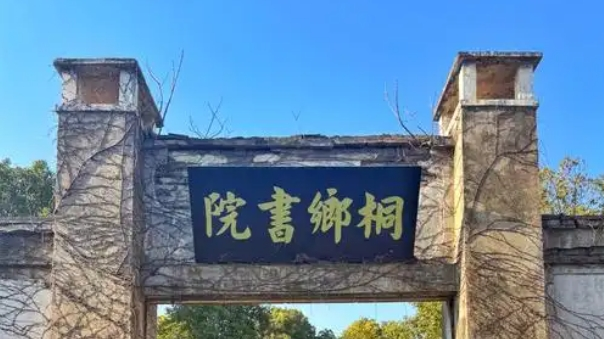 2025桐城市富锌农产品包装设计大赛-掌上竞赛
