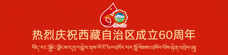 2025西藏首届民族舞台服饰设计大赛-掌上竞赛